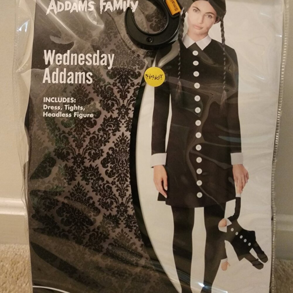 Wednesday Addams Adult Small Costume